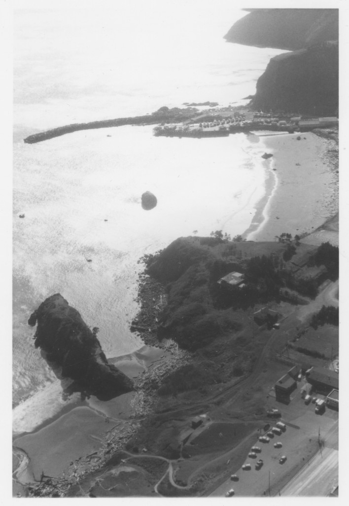 Aerial view of Battle Rock and the Port of Port Orford