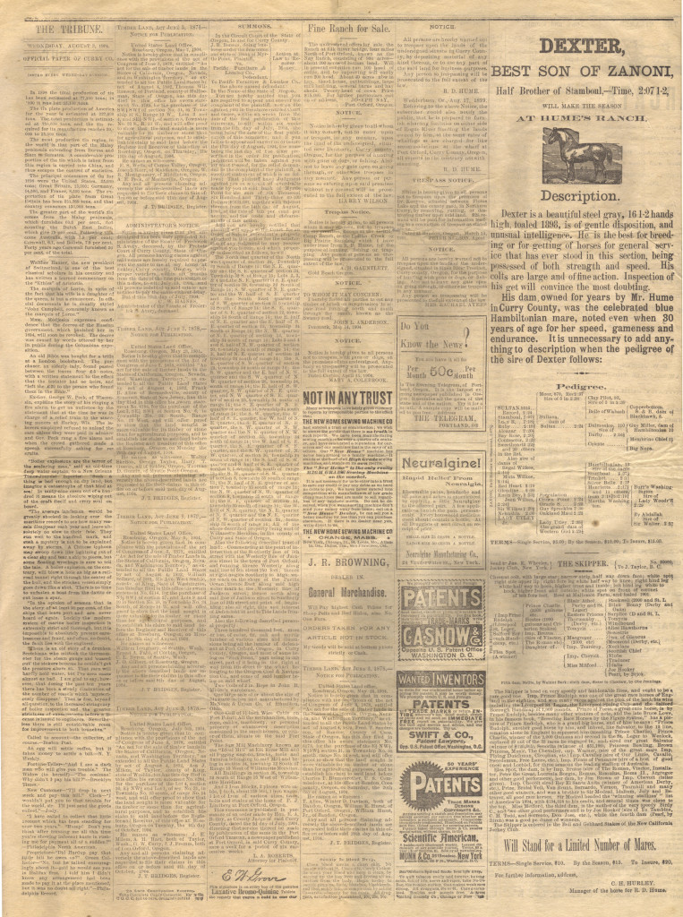1904 Port Orford Tribune - Back Page