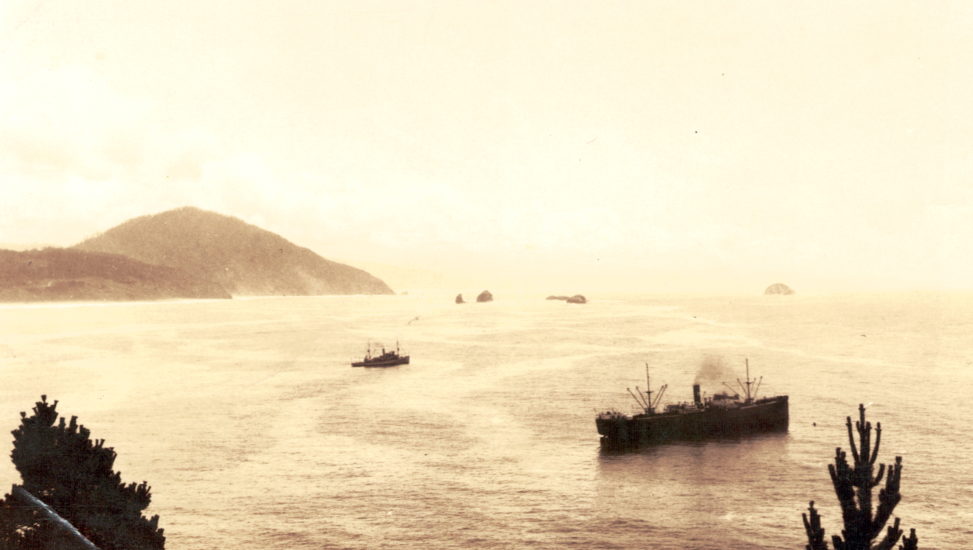 Maritime - SS Frogner in Nellies Cove c1925