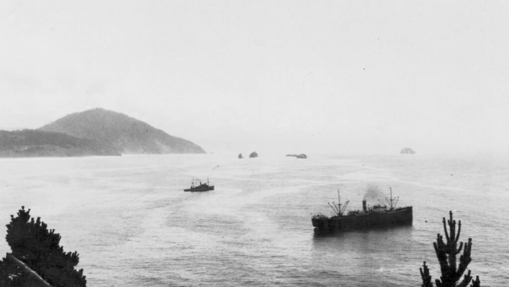 ﻿SS Frogner at Nellies Cove ca. 1925
